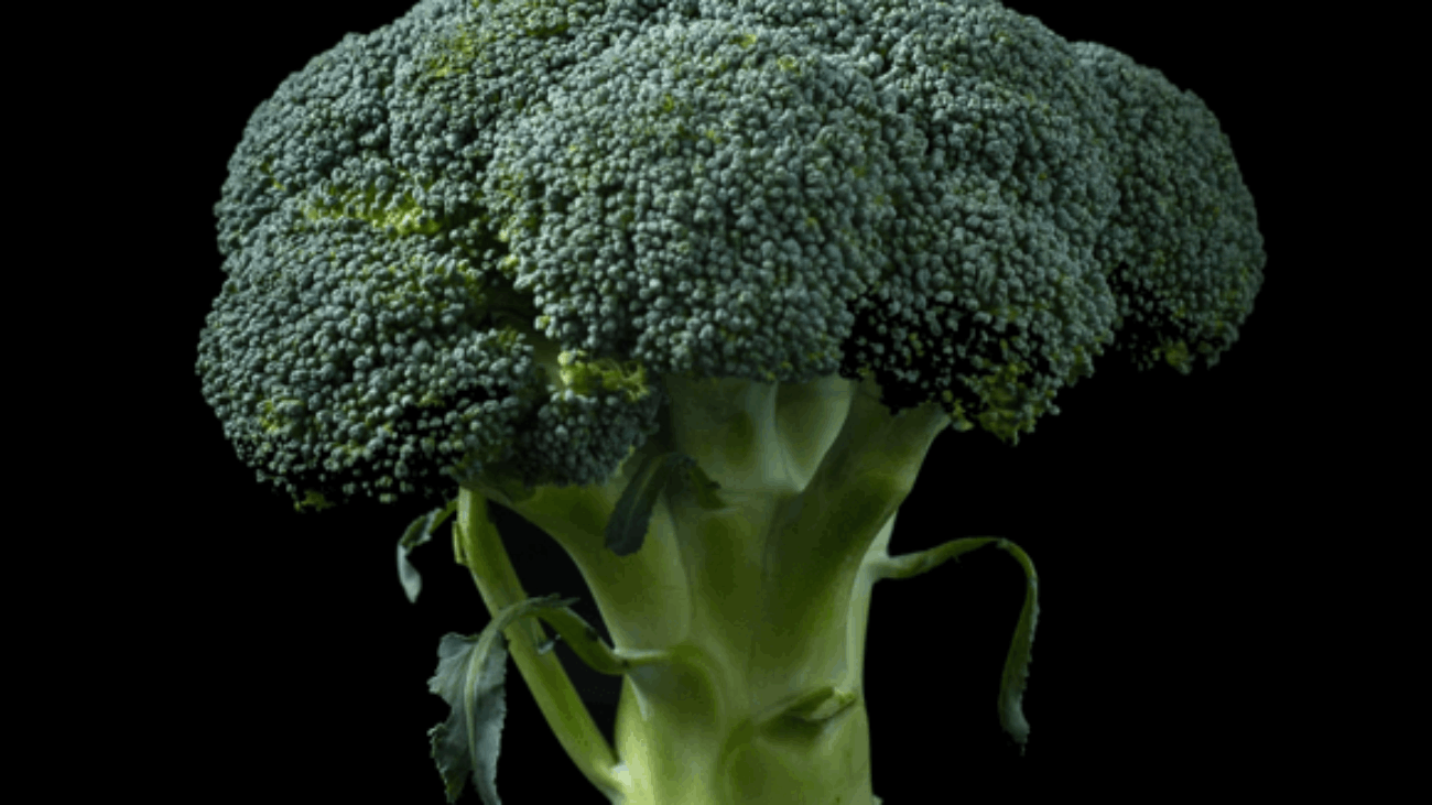 Pic - Post Nutrition 3